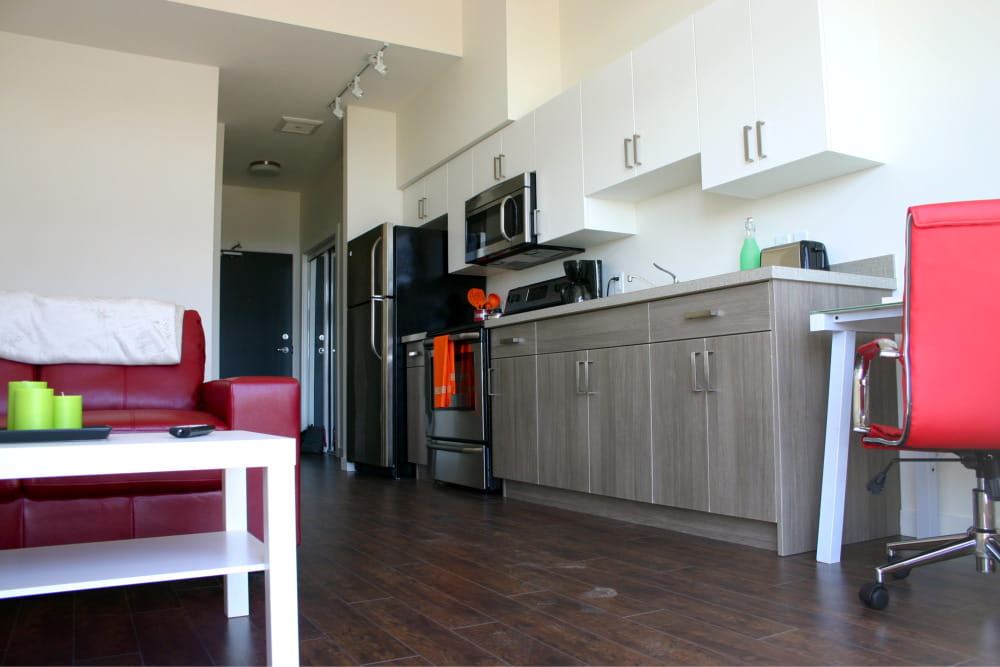 1 bedroom apartments for rent