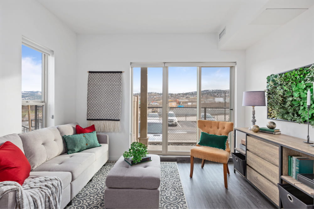 1 bedroom: living room
