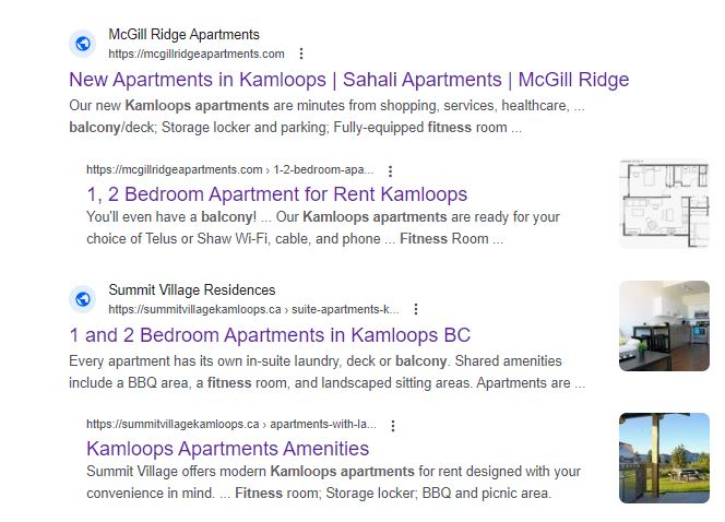 Screenshot of Google search results for "kamloops apartments AND "balcyony" AND "fitness"
